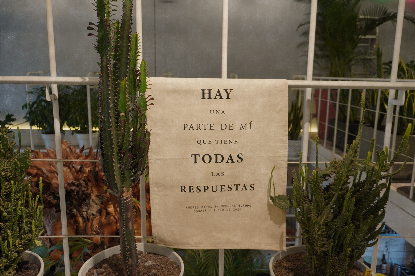 Bandera Hay una parte de mí que tiene todas las respuestas - El Topo